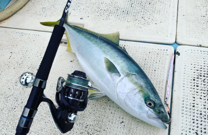 ジギング・タイラバ・ティップランエギング等／大島周辺